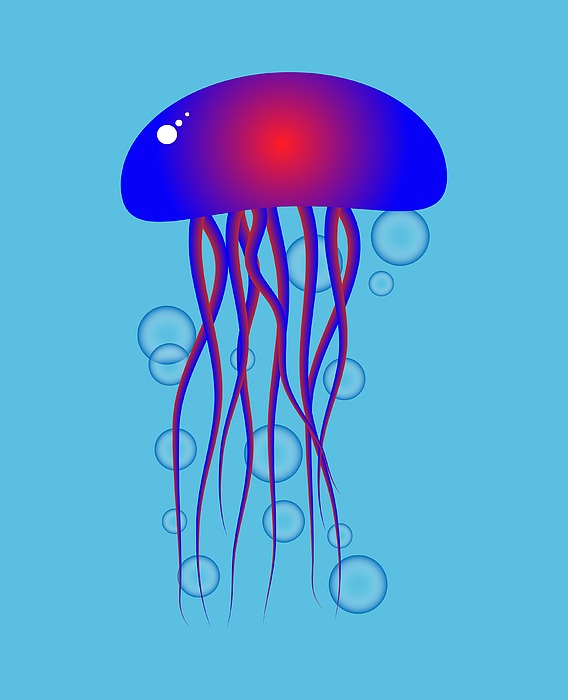 Jellyfish by Keith Hawley Jellyfish by Keith Hawley